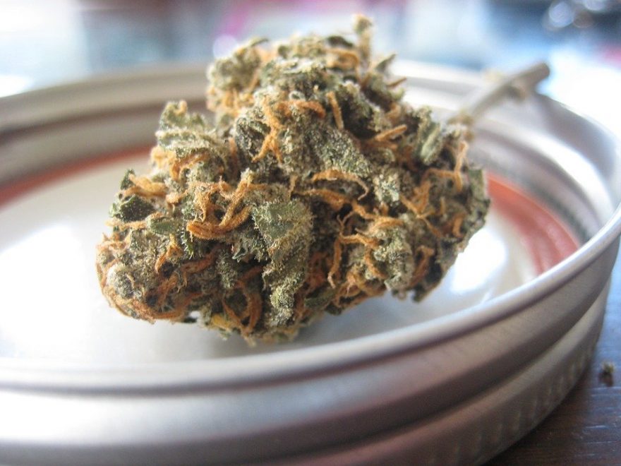 extraction of cbd oil
